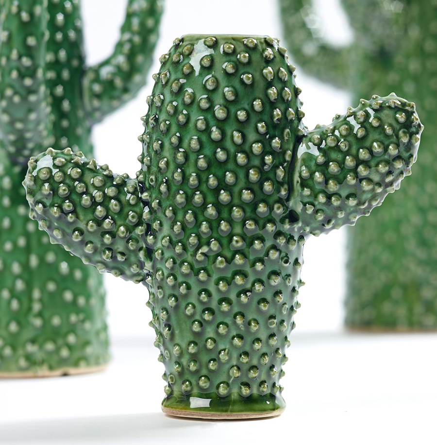 kaktus vase1