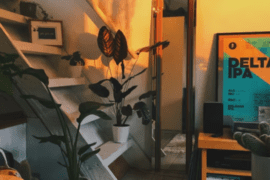 Vigtigt Udstyr til Det Perfekte Pokerrum i 2025